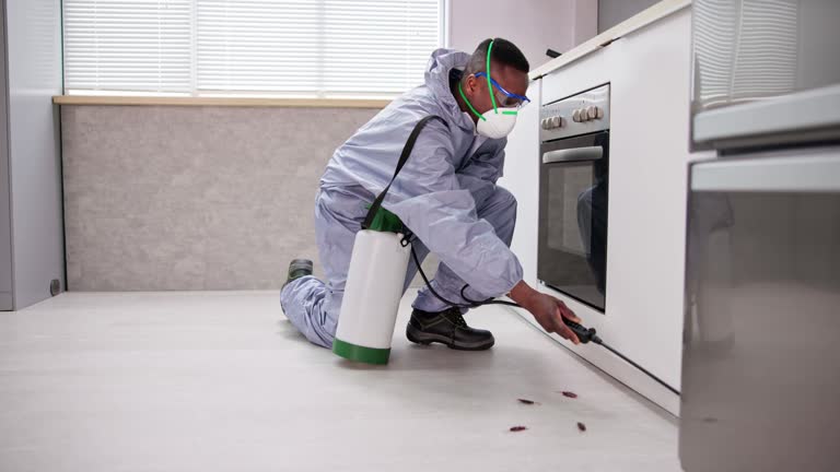 Best Pest Prevention Services  in Quail Creek, TX